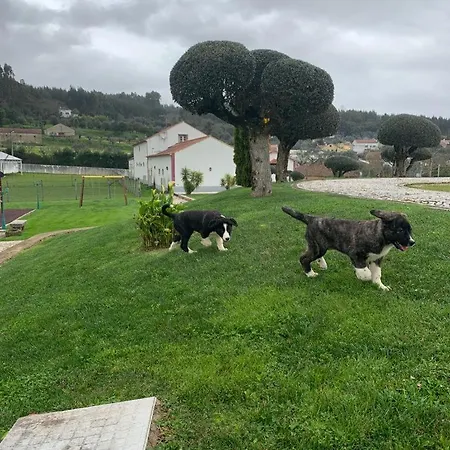 Quinta Pedagogica - Casinhas Da Quinta Ferreira do Zêzere