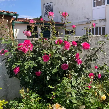 Quinta Pedagogica - Casinhas Da Quinta Casa de Férias