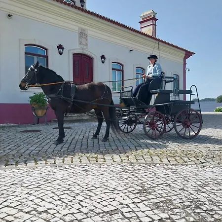 Quinta Pedagogica - Casinhas Da Quinta