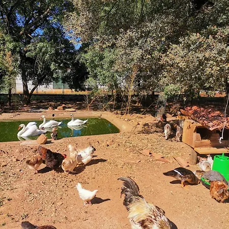 Quinta Pedagogica - Casinhas Da Quinta Dom wakacyjny Ferreira do Zêzere