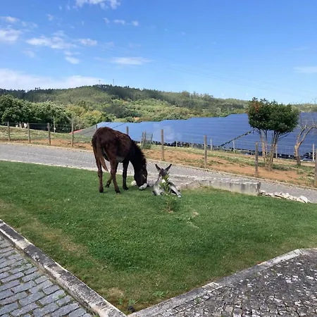 Quinta Pedagogica - Casinhas Da Quinta Ferreira do Zezere