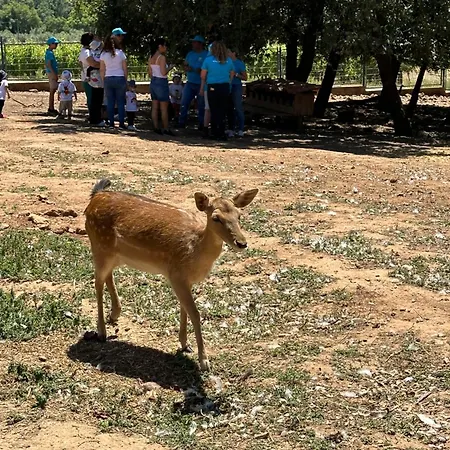 Dom wakacyjny Quinta Pedagogica - Casinhas Da Quinta