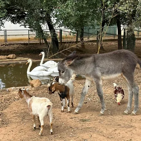 Quinta Pedagogica - Casinhas Da Quinta Dom wakacyjny Ferreira do Zêzere
